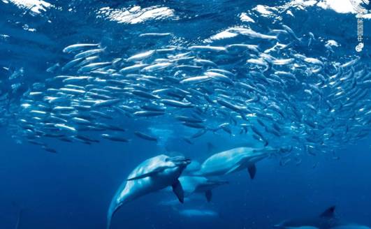 地理大阅读004_image007.jpg 地理大阅读004_image007.jpg