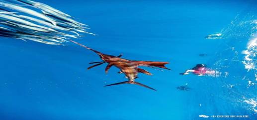 地理大阅读004_image009.jpg 地理大阅读004_image009.jpg