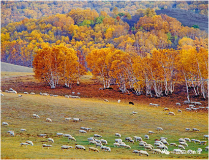 地理大阅读013_image002.jpg 地理大阅读013_image002.jpg