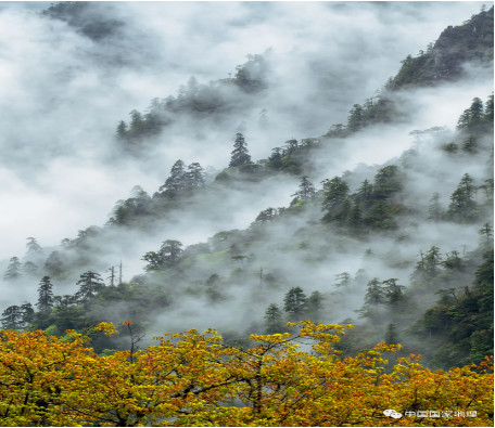 地理大阅读013_image008.jpg 地理大阅读013_image008.jpg