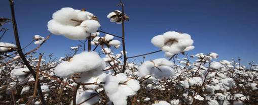 地理大阅读018_image004.jpg 地理大阅读018_image004.jpg