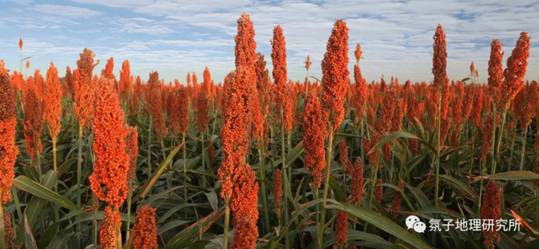 地理大阅读018_image006.jpg 地理大阅读018_image006.jpg