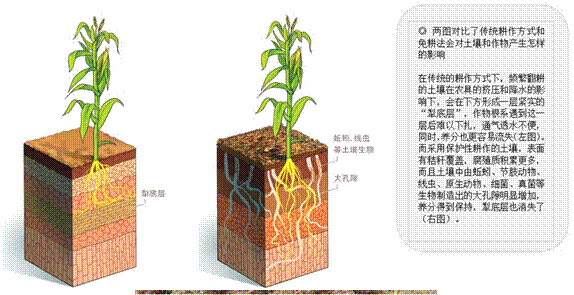 地理大阅读019_image009.gif 地理大阅读019_image009.gif